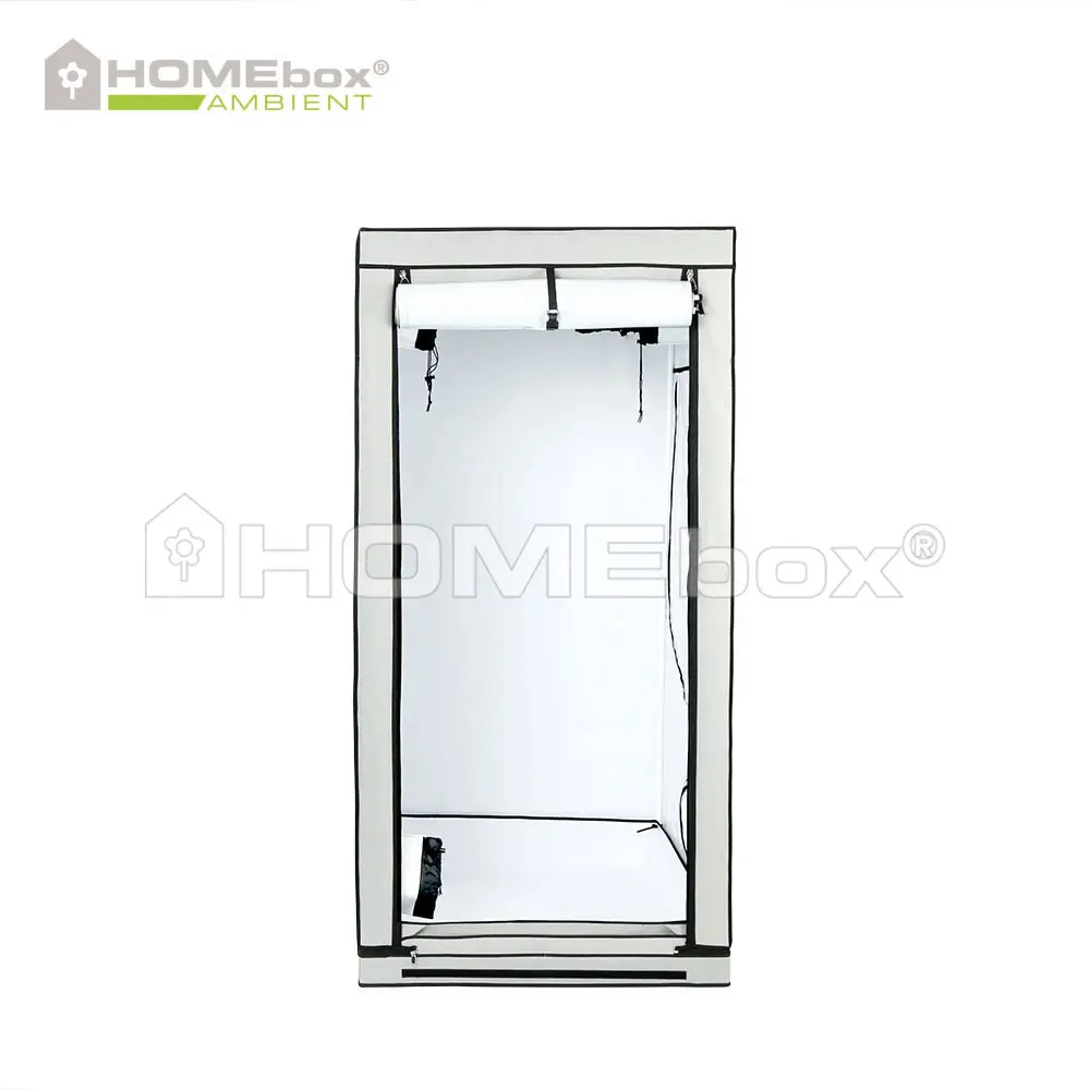 HOMEbox Ambient Q100 2