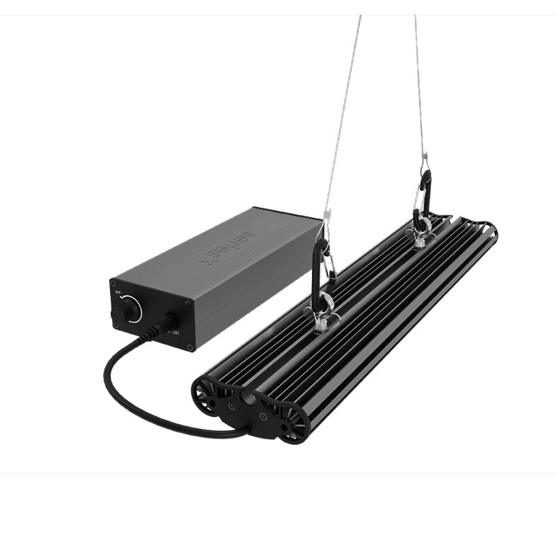 Greenception GCx 2solo PWR 80W