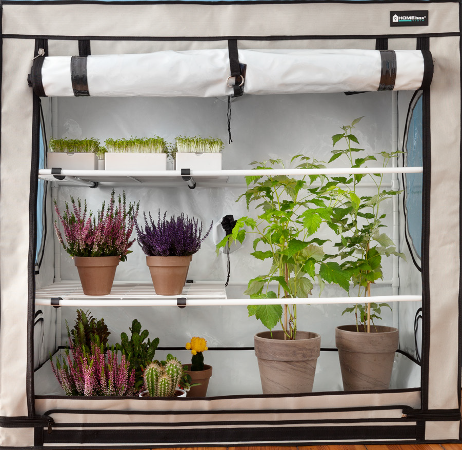 ZimmerGewächshäuser & Growboxen von HOMEbox, DiamondBox & GTools